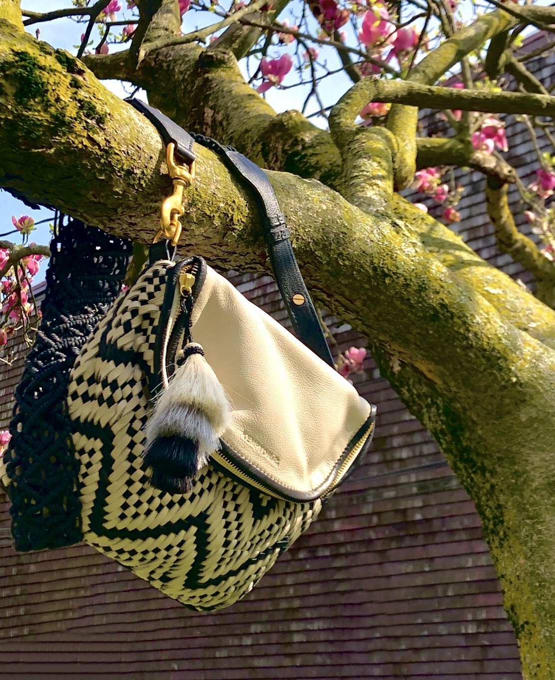 SUMMER ISN'T CANCELLED Woven b+w -