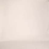 Taupe Distressed Glitter Mini Windbourne